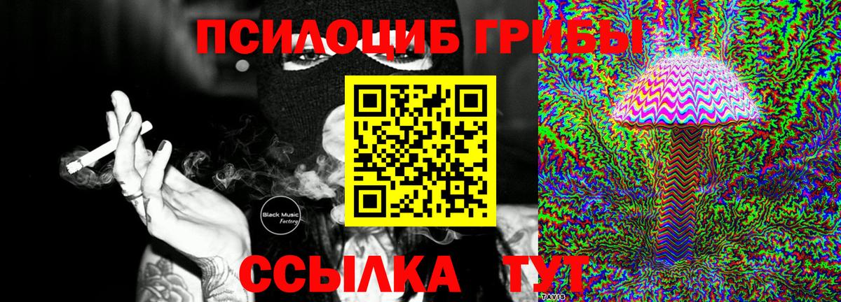 Псилоцибиновые грибы мицелий Лениногорск