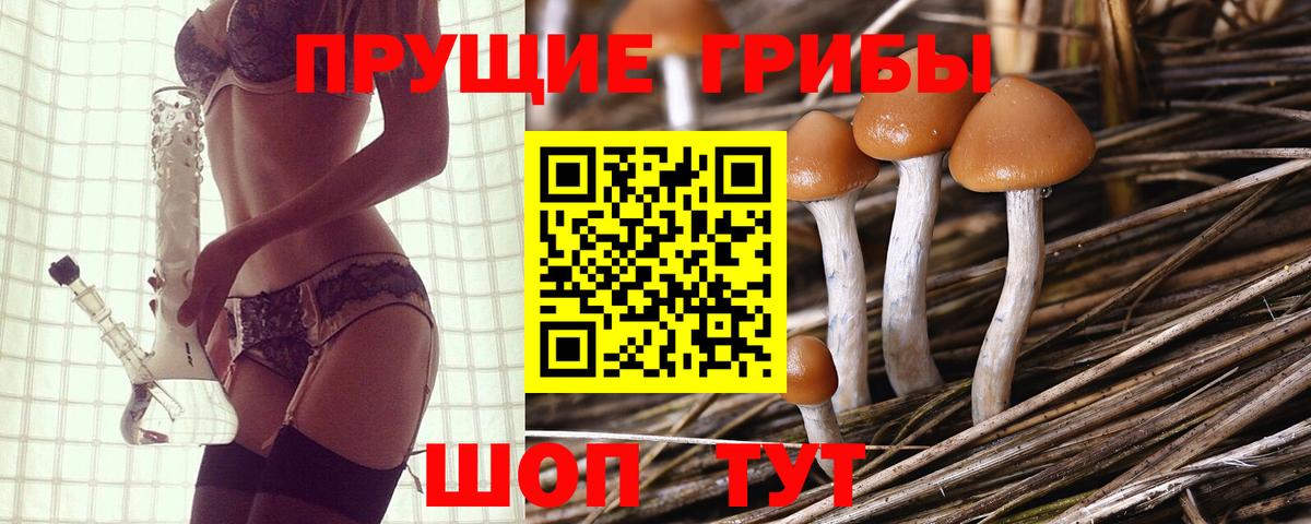 Лениногорск  Галлюциногенные грибы Psilocybine cubensis  Вход с VPN  Галлюциногенные грибы Cubensis 
