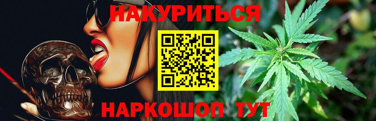 Конопля Лениногорск
